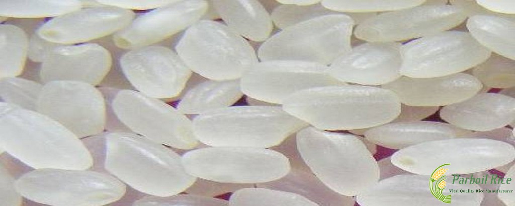 Parboiled Japonica Rice 2