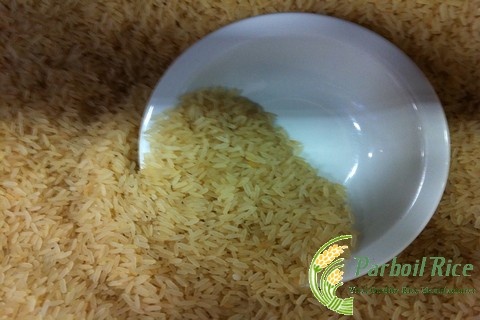 Parboiled Rice