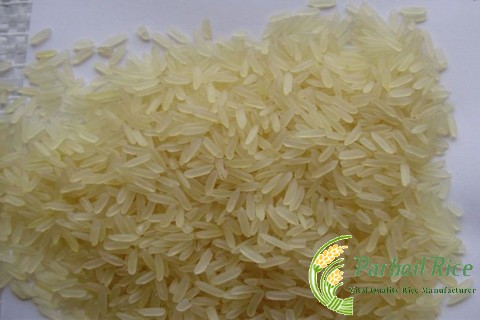 Thai Parboiled Rice 5% Broken