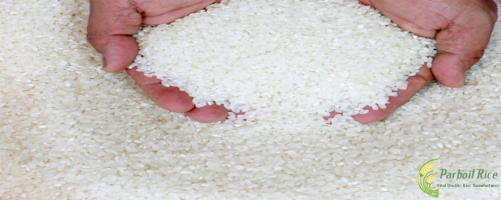 White Rice 100% Broken